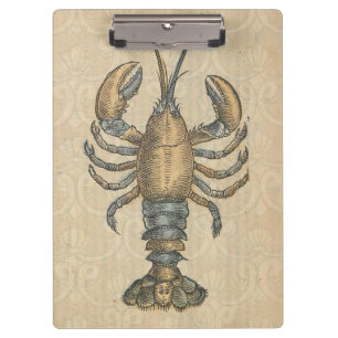 Lobster Illustration Antiek Maine Seafood Klembord