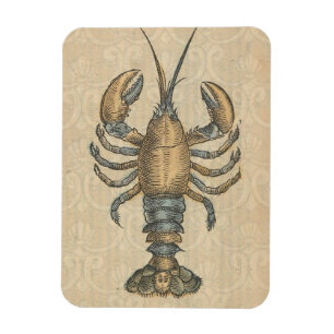 Lobster Illustration Antiek Maine Seafood Magneet