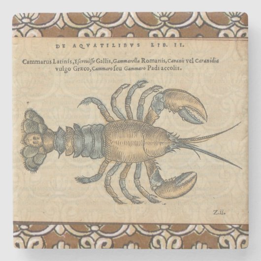 Lobster Illustration Antiek Maine Seafood Stenen Onderzetter (Voorkant)