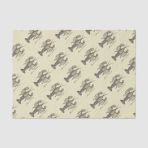 Lobster Illustration Antiek Maine Seafood Tissuepapier