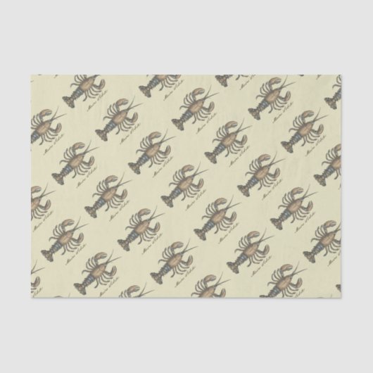 Lobster Illustration Antiek Maine Seafood Tissuepapier (Voorkant)