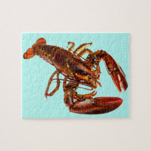 Lobster Legpuzzel
