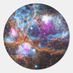 Lobster Nebula Ronde Sticker