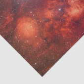 Lobster Nebula Tissuepapier (Detail)