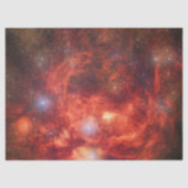 Lobster Nebula Tissuepapier (Voorkant)