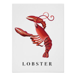 Lobster Perfect Poster