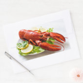 Lobster Rechthoekige Sticker (Envelop)