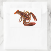 Lobster Rechthoekige Sticker (Tas)