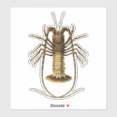 Lobster Sticker (Vel)