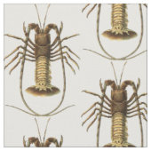 Lobster Stof (Close Up)