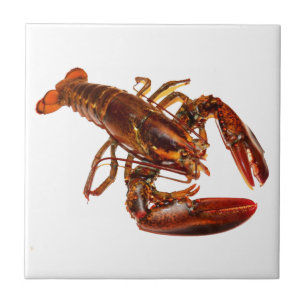 Lobster Tegeltje