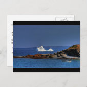 Lobster Vist Briefkaart (Voorkant / Achterkant)