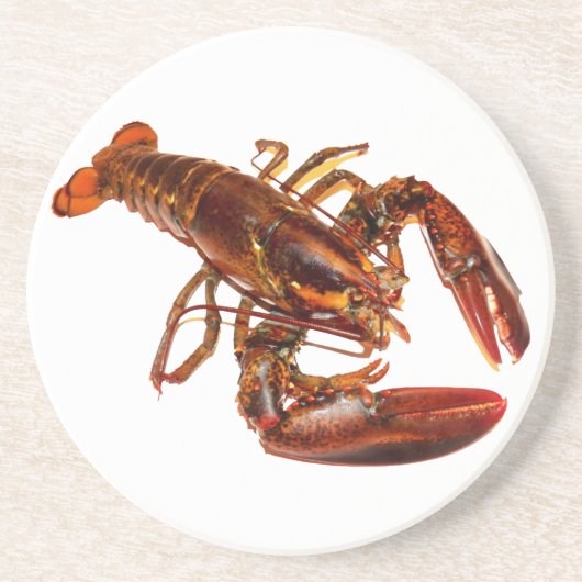 Lobster Zandsteen Onderzetter (Voorkant)