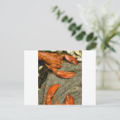 Lobsters Briefkaart (Staand voorkant)