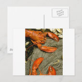 Lobsters Briefkaart (Voorkant / Achterkant)