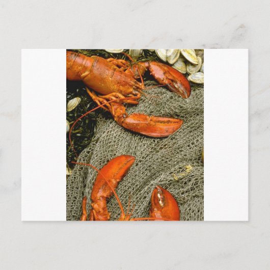 Lobsters Briefkaart (Voorkant)