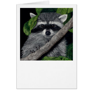 "Local Bandit" Raccoon Kaart