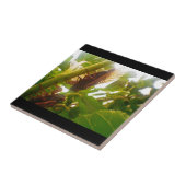 Locale country-tapesets tegeltje (Zijkant)