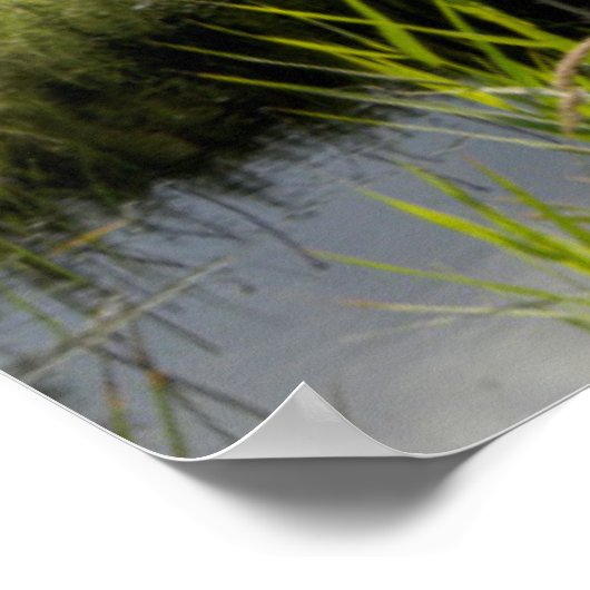 Loch Ard Jetty Poster (Hoek)