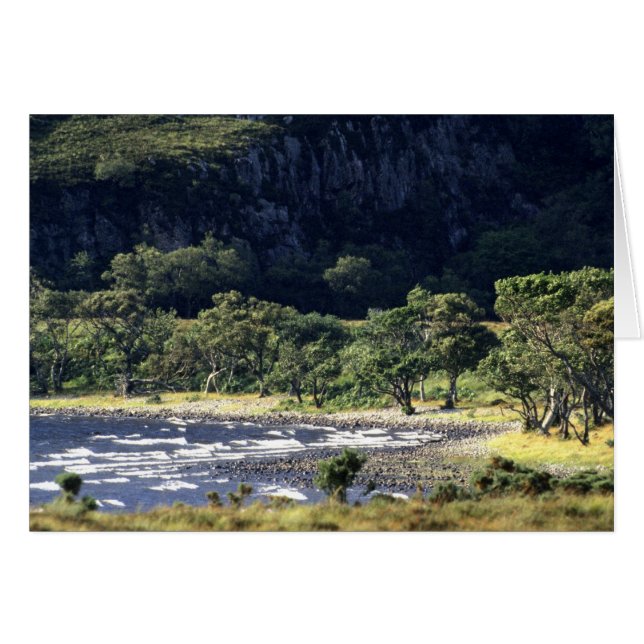 Loch écossais (Devant horizontal)