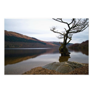 Loch Lomond, Scotland Photo print Foto Afdruk