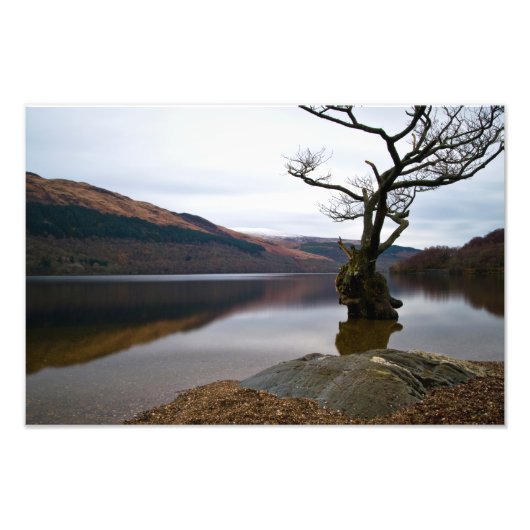Loch Lomond, Scotland Photo print Foto Afdruk (Voorkant)