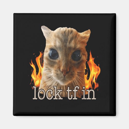 Lock tf in kat magneet (Voorkant)