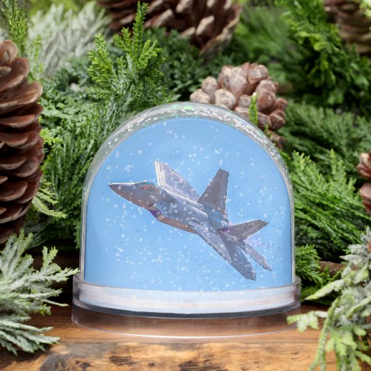 Lockheed Martin F-22A Raptor Sneeuwbol (Winter)