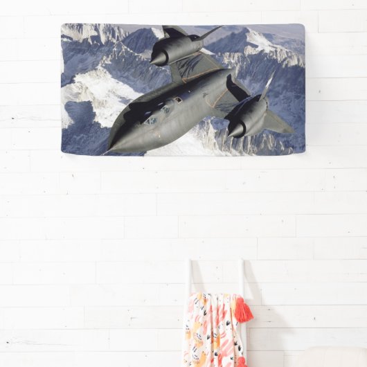 Lockheed SR-71B Blackbird Spandoek (Insitu)