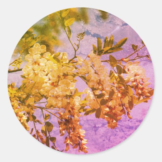 Locust Flower Blossom Art Ronde Sticker (Voorkant)