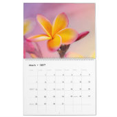L'odeur du calendrier de la Plumeria (Mar 2027)