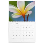 L'odeur du calendrier de la Plumeria (Feb 2027)