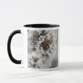 Lodgepole Pine cone in de winter in geelsteen Mok (Links)