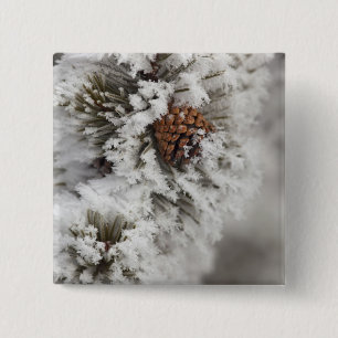 Lodgepole Pine cone in de winter in geelsteen Vierkante Button 5,1 Cm