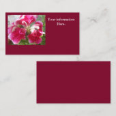 Lodovica Visitekaartje (Voorkant / Achterkant)