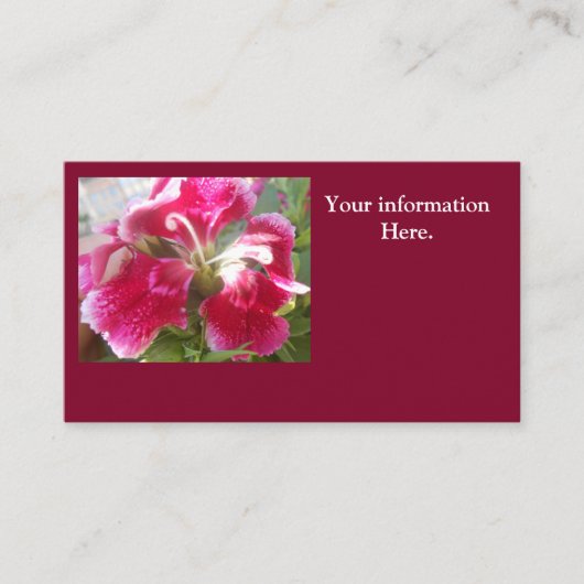 Lodovica Visitekaartje (Voorkant)