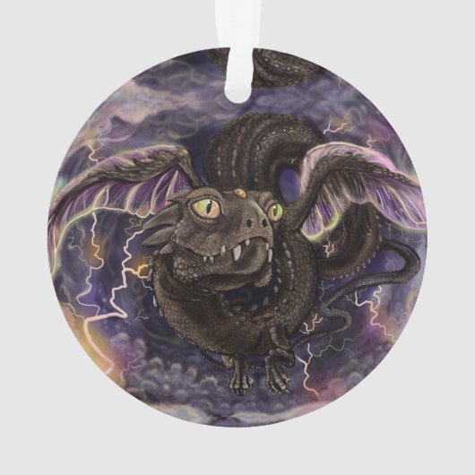 L'oeil du dragon de tempête (dos)