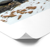 Lofoten, Noorwegen Poster (Hoek)