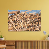 Lofoten Stockvis Canvas Afdruk (Insitu (Woonkamer))