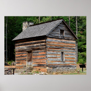 log Cabin Poster