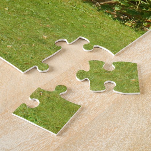LOG HOUSE TINY HOUSE JIGSAW PUZZZLE LEGPUZZEL (Zijkant)