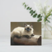 Log Lounger Siamese Kitten Briefkaart (Staand voorkant)