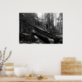 LOG RIJGING in de REDWOODS c. 1890 Poster (Keuken)