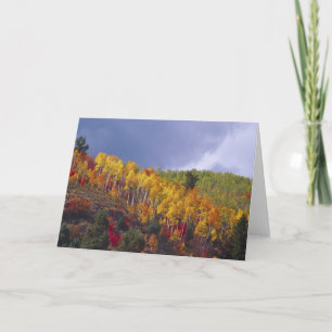 Logan Canyon in Utah in het najaar met voorbijgaan Kaart