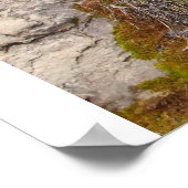 Logan Waterfall Poster (Hoek)