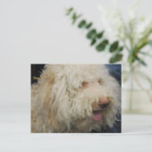 Logato Romagnolo Briefkaart (Staand voorkant)