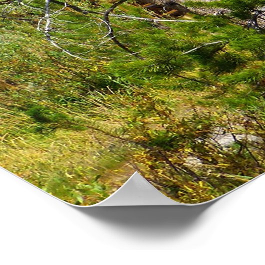 Logcabine Poster (Hoek)