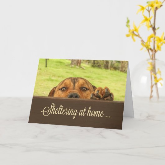 Logement à la maison Carte de soutien Corona Virus (Fleur jaune)