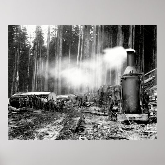 LOGGEN MET STEAM DONKEY c. 1879 Poster (Voorkant)