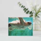 Loggerhead #1 Briefkaart (Staand voorkant)